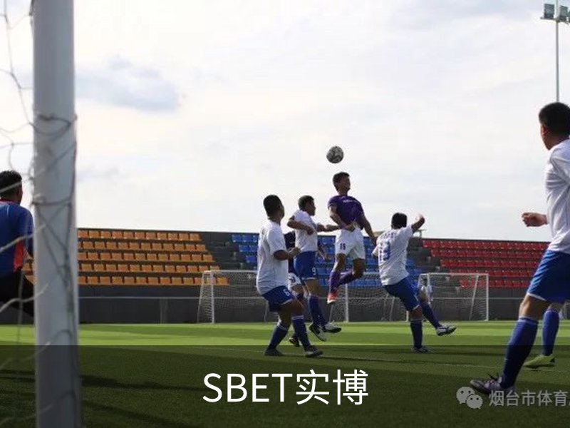 SBET实博概况